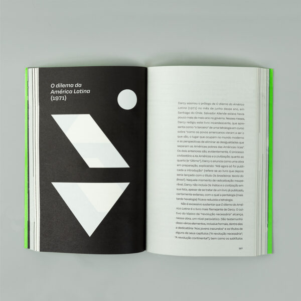Os futuros de Darcy Ribeiro - Imagem 14